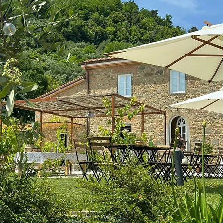 Stone Between Florence And Lucca *